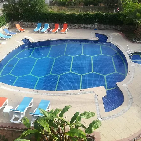 Turtle Apart 2* Fethiye