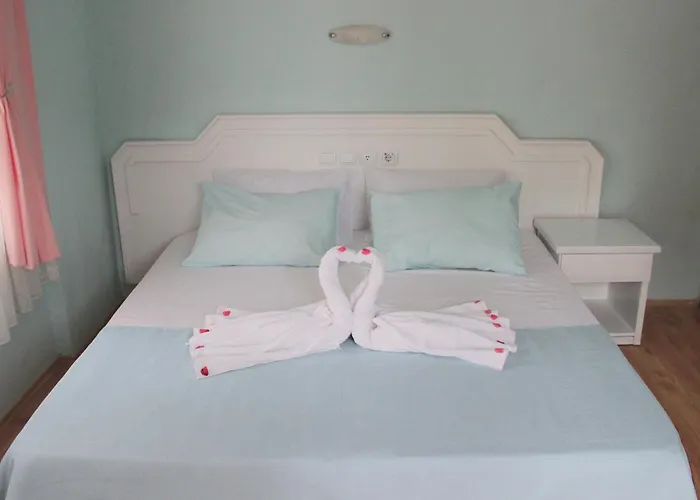 Turtle Apart 2* Fethiye