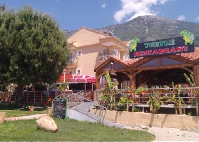 Turtle Apart Fethiye