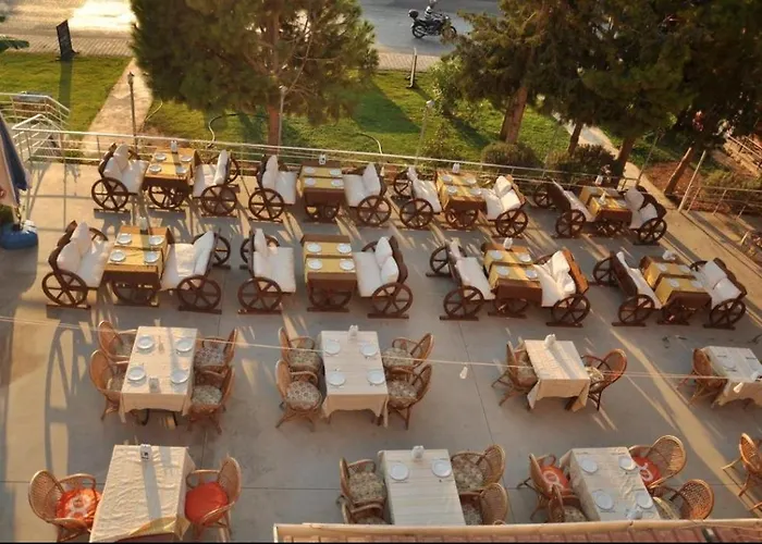 Turtle Apart 2* Fethiye