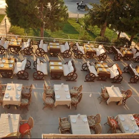 Turtle Apart 2* Fethiye