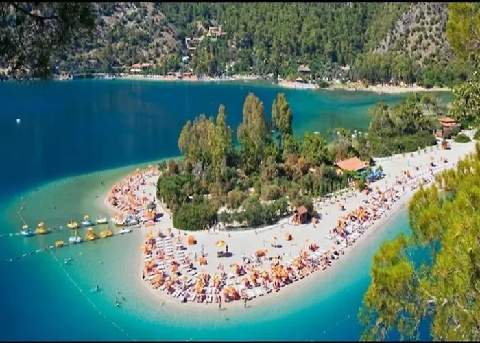 Turtle Apart 2* Fethiye