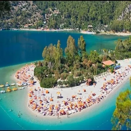 Turtle Apart 2* Fethiye