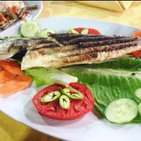 Turtle Apart מלון דירות 2*