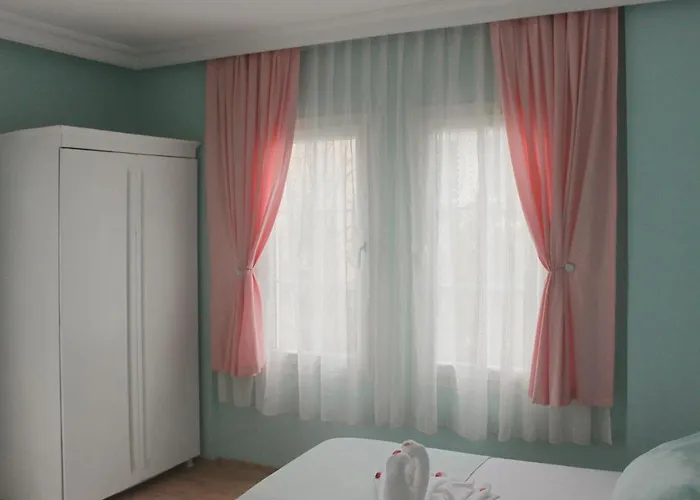 Turtle Apart Фетхие