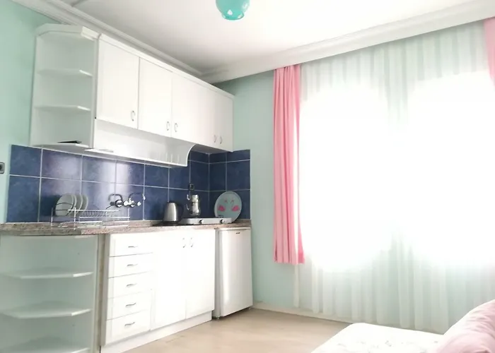 Turtle Apart Aparthotel 2*