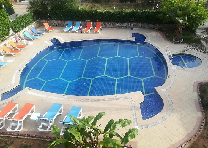 Turtle Apart 2* Fethiye